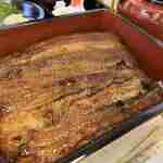 浜名湖うなぎ だいだら - 