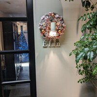 Élan - 