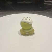 CIRPAS - 