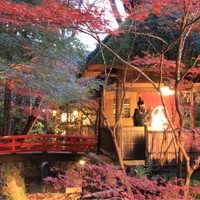 うかい鳥山 - 