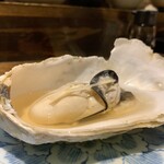 さけ富 - 真牡蠣