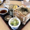 そば処 神田 - 料理写真:これで普通盛り