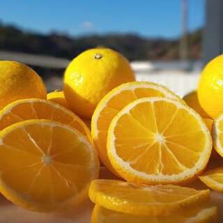 Hamaya - 春先には地物生産のゴールデンオレンジ