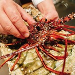 神楽坂 鉄板焼 中むら - 