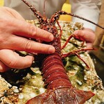 神楽坂 鉄板焼 中むら - 