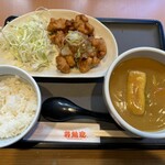 若鯱家 - みぞれ唐揚げランチ