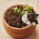 Rich tiramisu