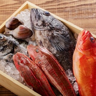 酒と魚とめし 濱いちもんめ_1