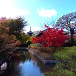 洋食 おがた - 東寺