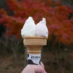 ジェラートショップ 香想 - 