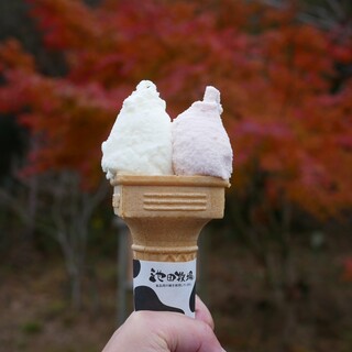 ジェラートショップ 香想_0