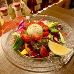 有機トマトとブッラータチーズのサラダ・バジルジェノベーゼ＆柑橘ドレッシング