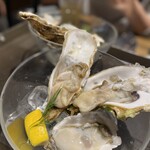 oyster market カキイロハ - 