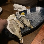 Oyster Bar MABUI - 