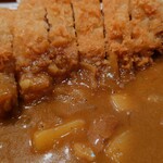 つるかめ食堂 - "カレールー"を端っこにだけ掛けてくてる心遣い。