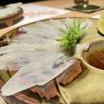 Shibuya Fugu Tatsu - 