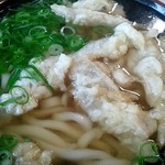 立花うどん - ごぼう天うどん