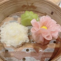 花藤　藤　紫花　/ 572 写真 : 紫藤花 （シトウカ） - 丸太町（京都市営）/中華料理