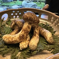 宮坂 - 