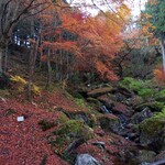政府登録国際観光旅館 鬼岩温泉 了山 - 