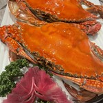 Jumbo Seafood Restaurant - 