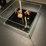 カンテサンス - 