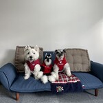 ダイニングキッチン アオヤマ - 