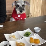 ダイニングキッチン アオヤマ - 