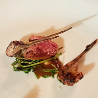 ラ シャッス - タシギ（半身）