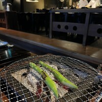 焼鶏あきら 中目黒本店 - 