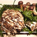 くろぎ - 天然舞茸・松茸（秋田)