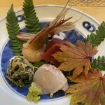 味乃しゅうか - 縞海老　赤身　タラの昆布じめ