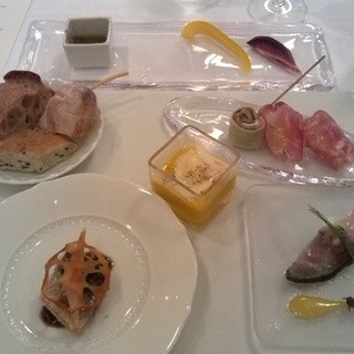 サーラ アマービレ