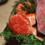 Itsuki - ２０２３年１２月再訪：北海道 セイコ蟹☆