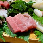 Izakaya Teuri - 本マグロの中トロ！