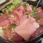 魚坐 - 丼