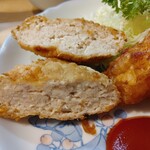 Toriyaki Tatsunoji - 