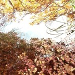 E.Bu.Ri.Ko - ※雲場池の紅葉
