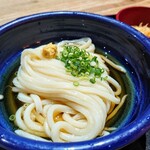 本格手打うどん 麺むすび - ぶっかけうどん　450円の