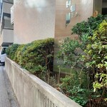 HAYAKAWA coffee - この先を右に入ります