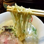 Hakata Ramen Koya - 普通麺