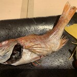 寿司 魚がし日本一 赤坂店 - 