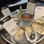 8TH SEA OYSTER Market Kitchen - 