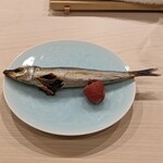 Sushi Taka - 