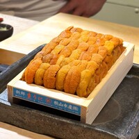 鮨 龍馬 - 秋山水産の生うに