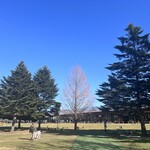 Monzen Yoshoku Fujiya