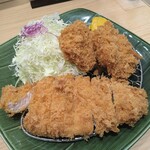 227096271 - ひれとロース