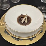 クイントカント - 