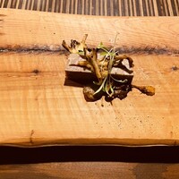 常春 - 