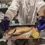日本酒と和食 花びし - のど黒の姿焼き、ひとり１尾